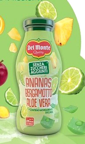 SUCCO S/Z ANANAS/BERG/ALOE ML.200