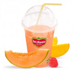 SMOOTHIE 08 MELON & CO.DELMONTE