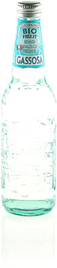 GASSOSA BIO ML.355 GALVANINA