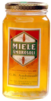 MIELE g.250 LIQUIDO AMBROSOLI