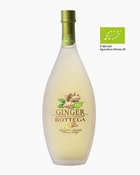 GINGER BIO CL.50 BOTTEGA