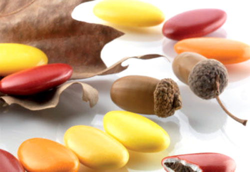 CIOCCOLATO AUTUNNO BURATTI (280)