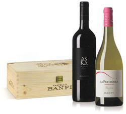 CASSETTA 2 BOTTIGLIE A/VL246K25 1VERMENTINO IGT 1BOLGHERI DOC