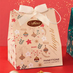 PANETTONE SHOPPER S/CANDITI KG1