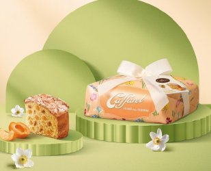 COLOMBA ALBICOCCA INC. G750