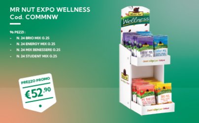 COMBO MISTER NUT WELLNESS 96PZ