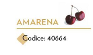 INSAPORITORE AMARENA G.850 ERACLEA