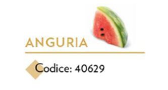 INSAPORITORE ANGURIA G.850 ERACLEA