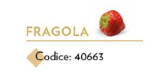 INSAPORITORE FRAGOLA G.850 ERACLEA