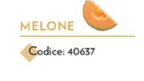 INSAPORITORE MELONE G.850 ERACLEA