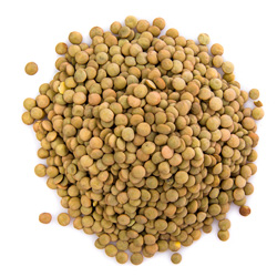 LENTICCHIE MONTAGNA G500 FILIPPINI