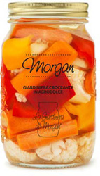 GIARDINIERA DI MORGAN ML1000 LA