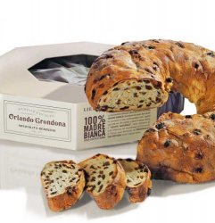 CIAMBELLONE G.2500 GRONDONA