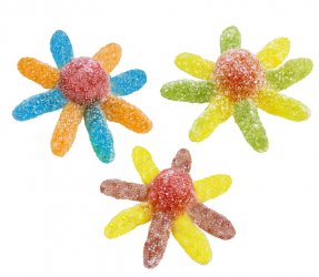 POLIPO SOUR (167) JAKE