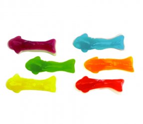 SQUALI COLORATI BICOLORE (133) JAKE