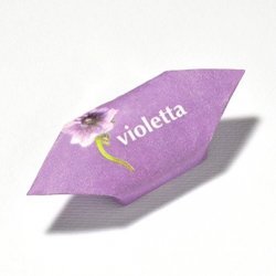 VIOLETTA MERA LONGHI