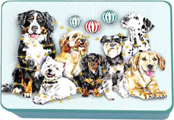 BISCOTTI LATTA CANI G300 PREMIERES