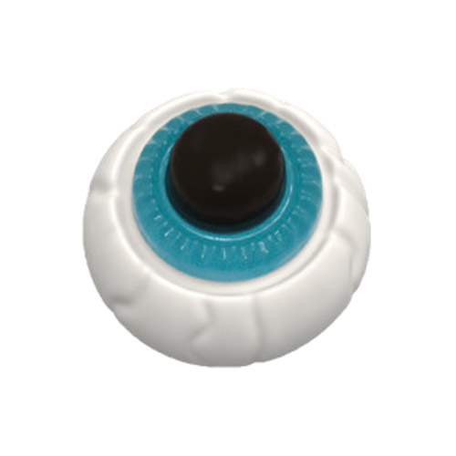 SOFT OCCHIO ALL'OCCHIO LUCIDO RAVA