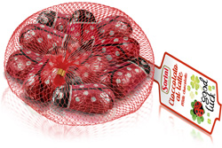 RETINA COCCINELLE G70 SORINI