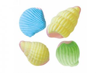 CONCHIGLIA FOAM KG.1, 35=250PZ