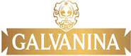 logo GALVANINA