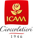 logo ICAM