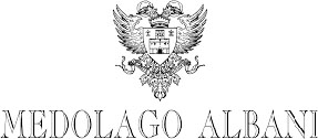 logo MEDOLAGO ALBANI