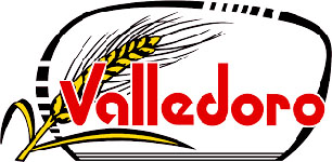 logo VALLEDORO