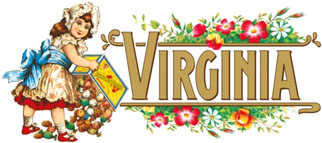 logo VIRGINIA