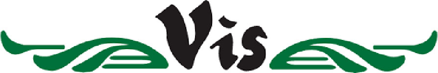 logo VIS